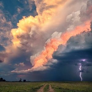 Meet your Posher, Sue